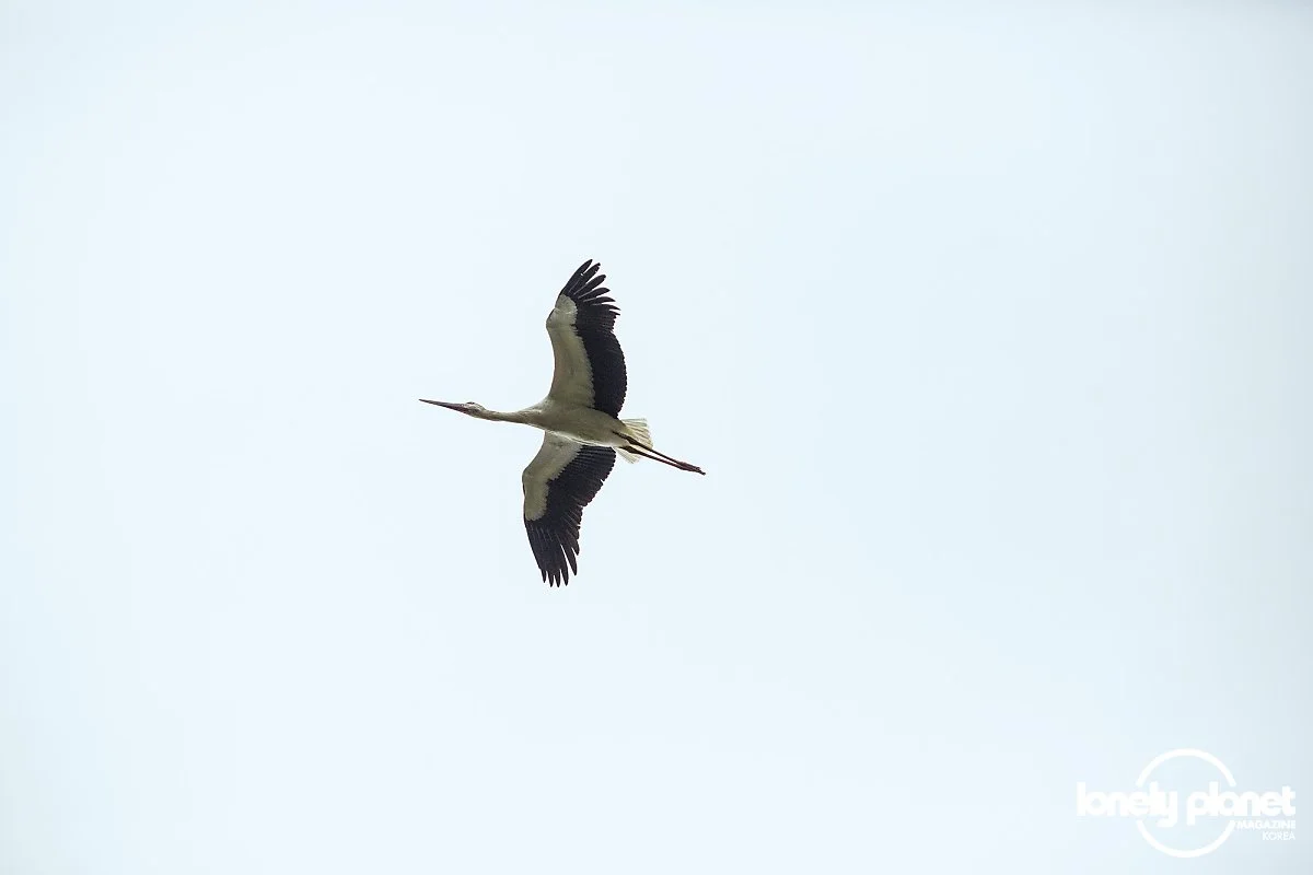 image_5840728771596448206276.jpg?type=w1200