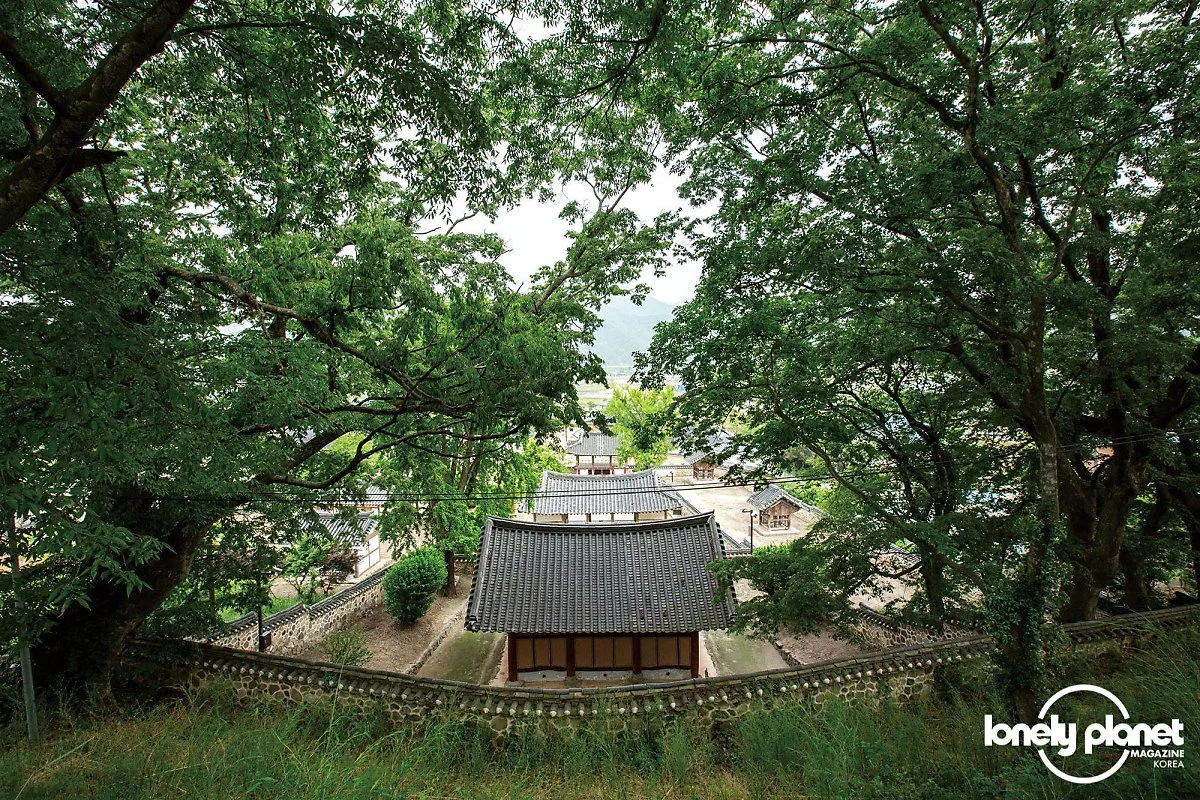 image_7550102021594193825565.jpg?type=w1200