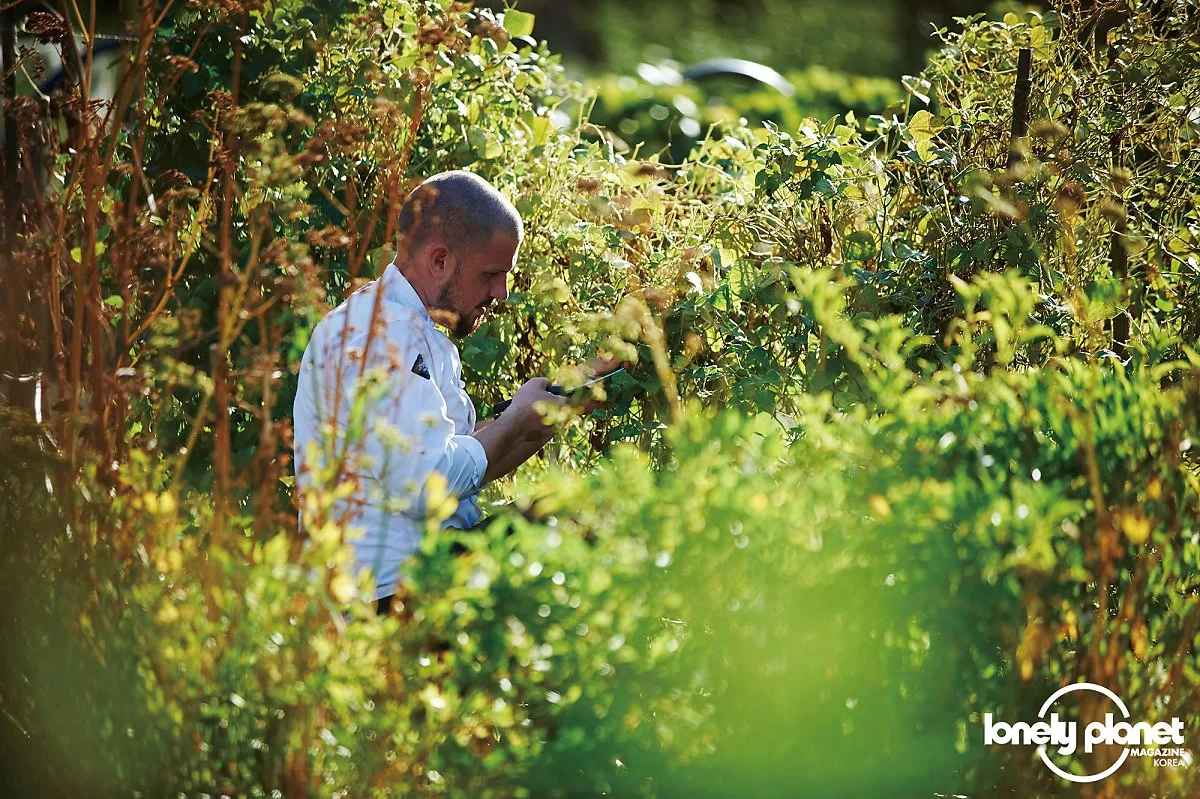 image_4530189911596619793200.jpg?type=w1200