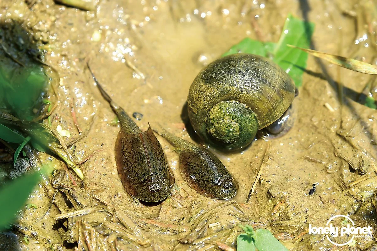 image_7110598691598248935420.jpg?type=w1200