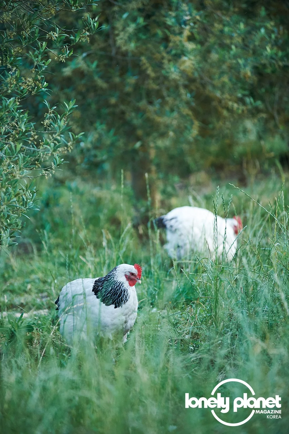 image_2382519661596619988095.jpg?type=w1200