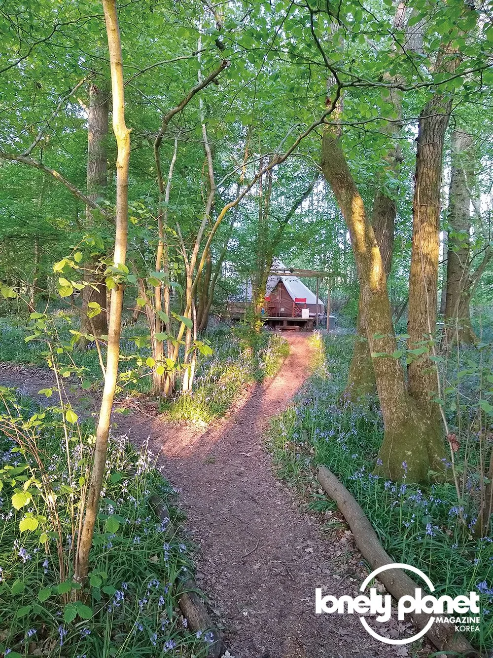 image_6008680781597462422418.jpg?type=w1200