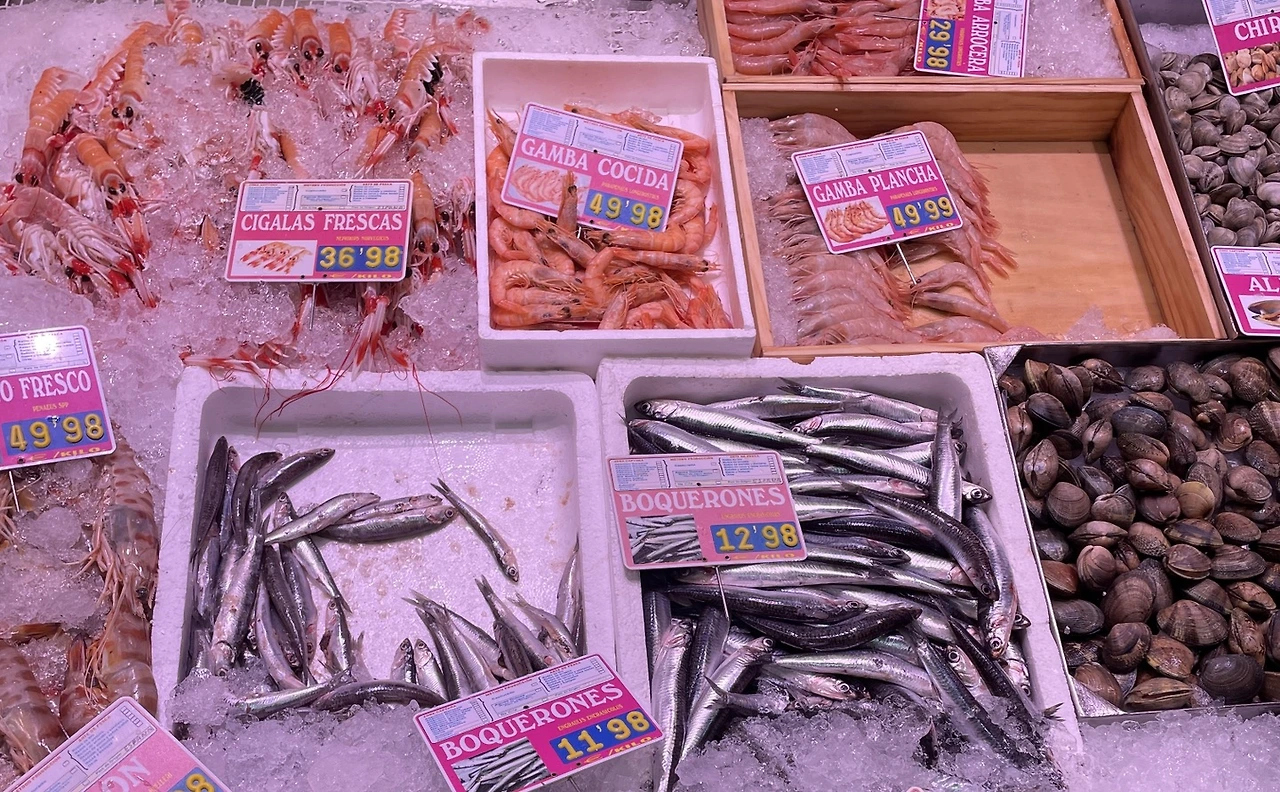 KakaoTalk_Photo_2024-10-13-오후 6-38-08.jpeg