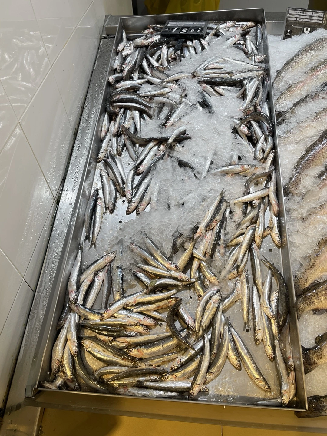 KakaoTalk_Photo_2024-10-13-오후 6-38-27.jpeg