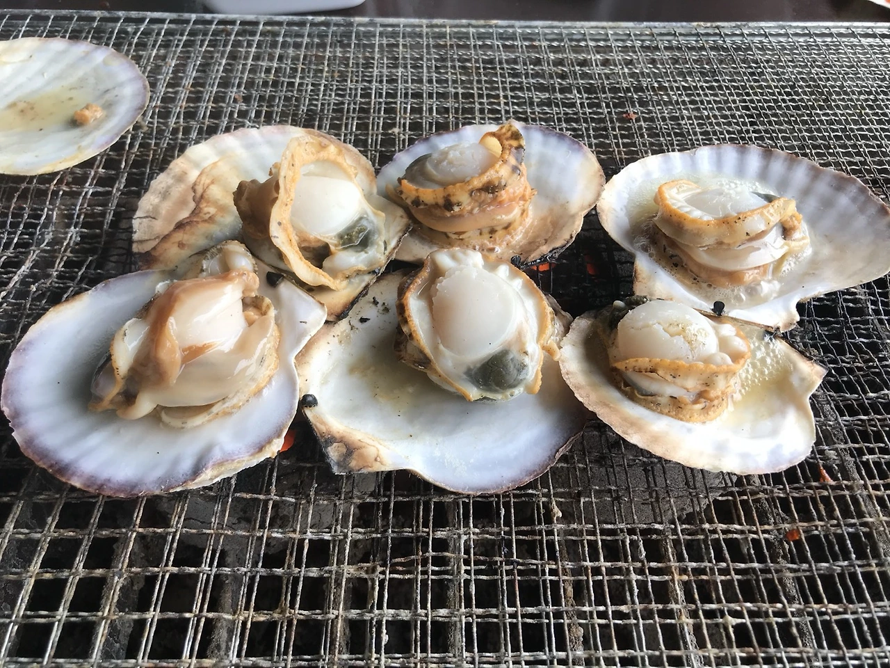 KakaoTalk_Photo_2024-09-29-오후 3-36-51.jpeg