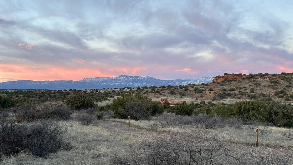 %EC%97%90%EB%A6%AC%EC%B9%B4.JPG?type=w1