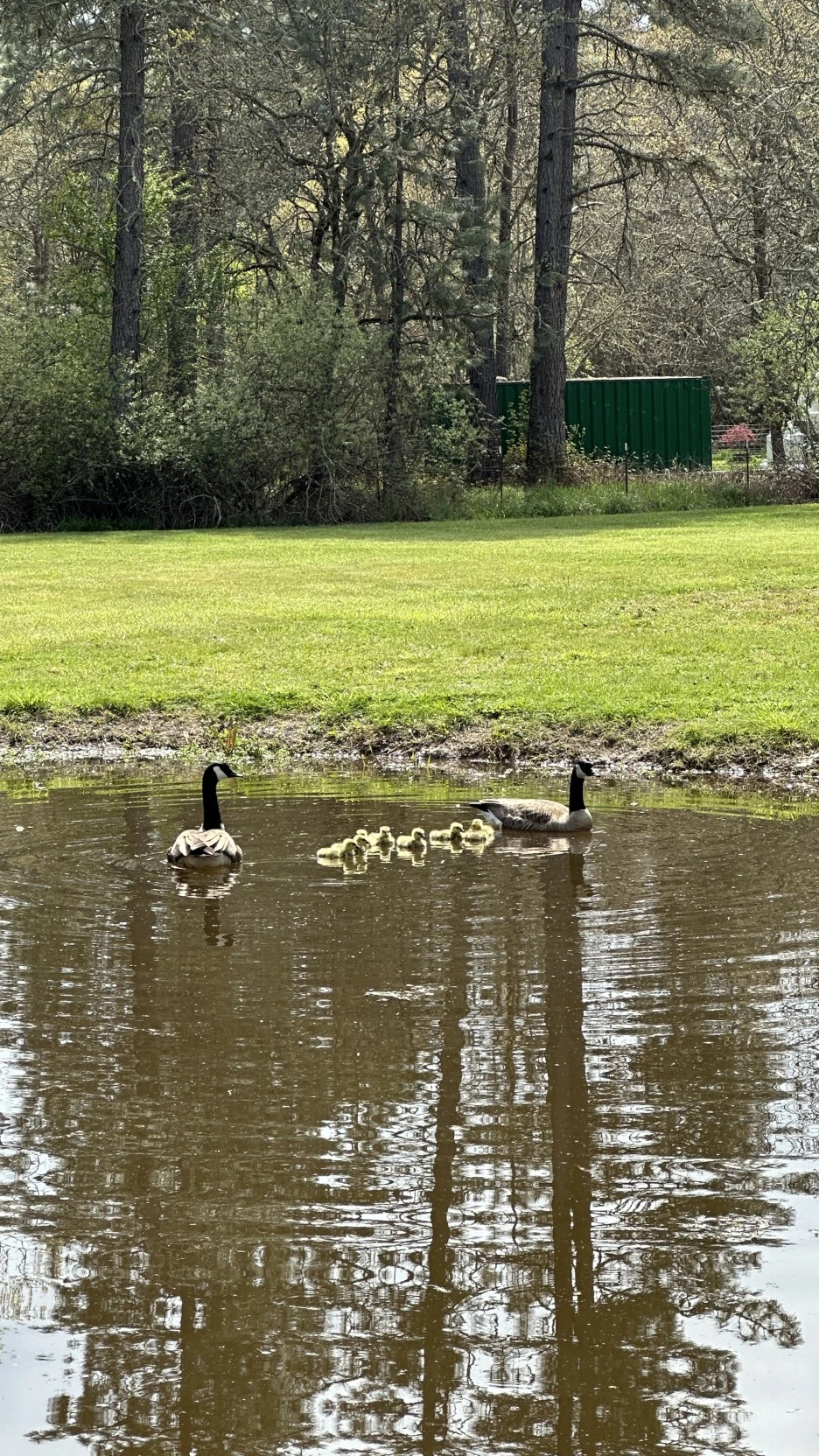 %EC%9D%B8%EC%83%9D%EC%9D%98_%EC%8B%9C%EC%A6%8C2.JPG?type=w1