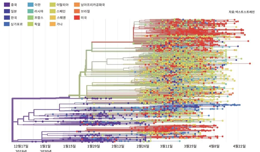 3-5 코로나19 계통도 (넥스트스트레인, 시사인).JPG