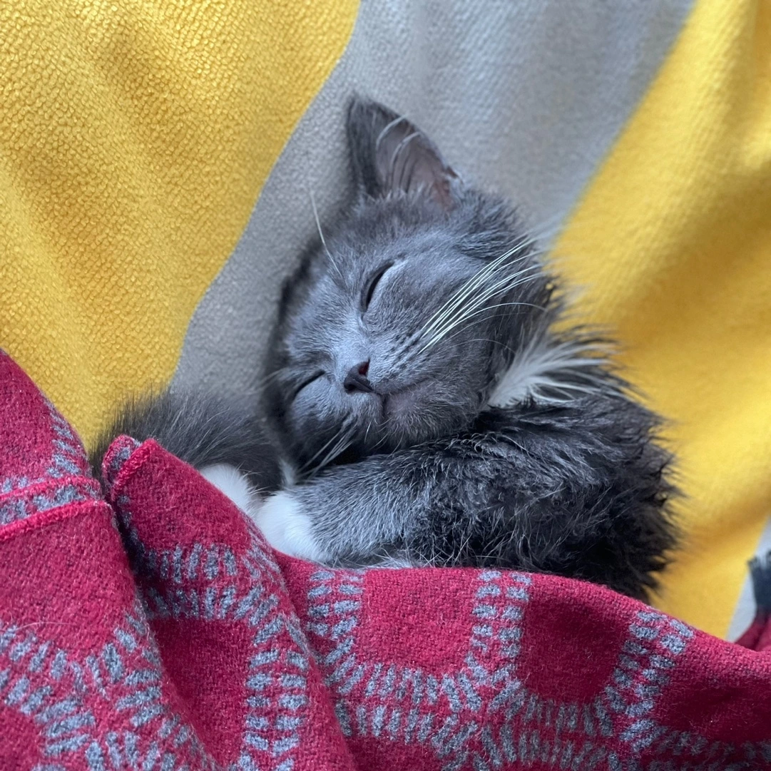 KakaoTalk_Photo_2023-04-28-20-40-21 001.jpeg