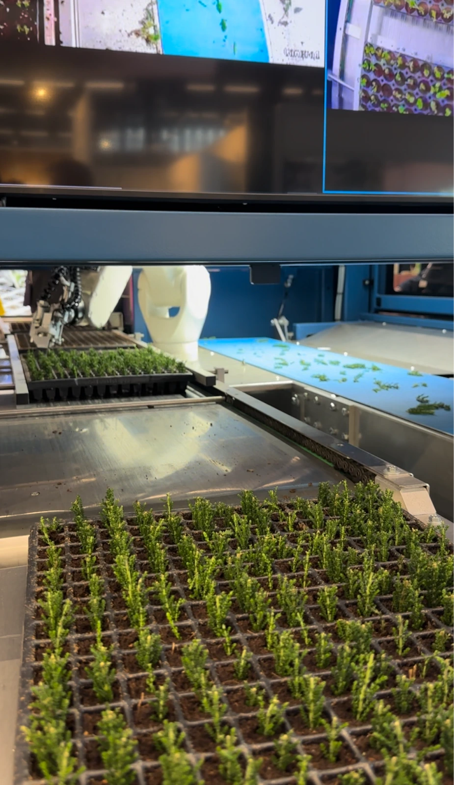 AD_4nXcQwrgwTCf9wTKO6FqQHykMlMrhWjpJ9Z4biLyEODD2vXHnF3QTGIwA5uKbf5H8vZJHg8cErxU14K8fuAxNA_r-yY3Yht9VEwYdIgwrhwbMKPQn_wKzBO5ceZo2_NXGlmJeGOfg7w?key=DWZPzbqNtkBZjqtMZ2xrn4M5