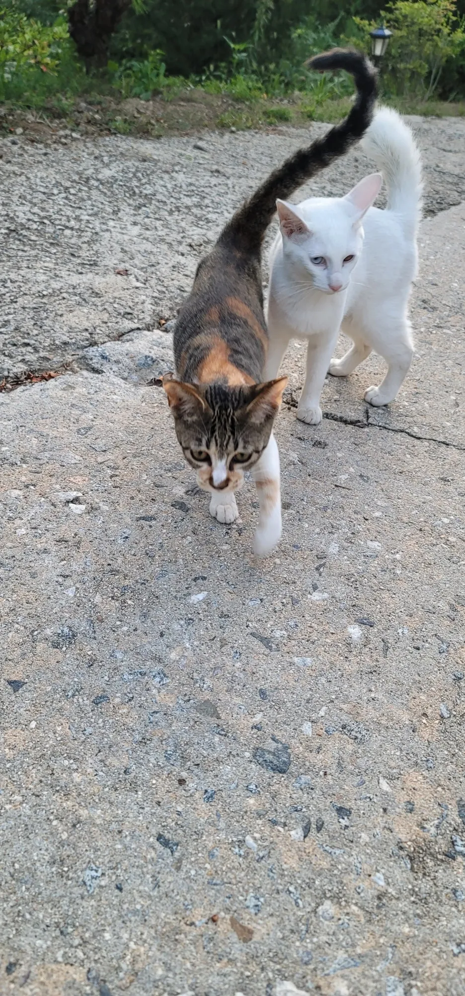 20250904%EF%BC%BF062742.jpg?type=w1