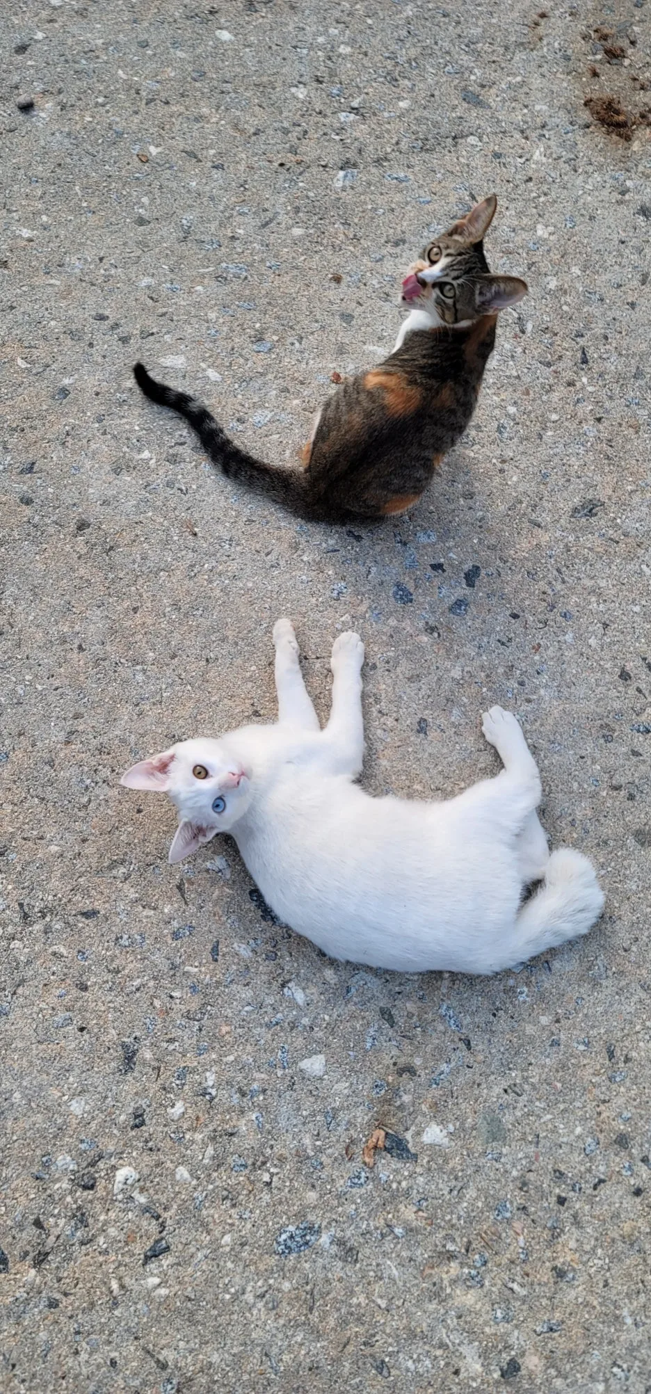 20250904%EF%BC%BF063202.jpg?type=w1