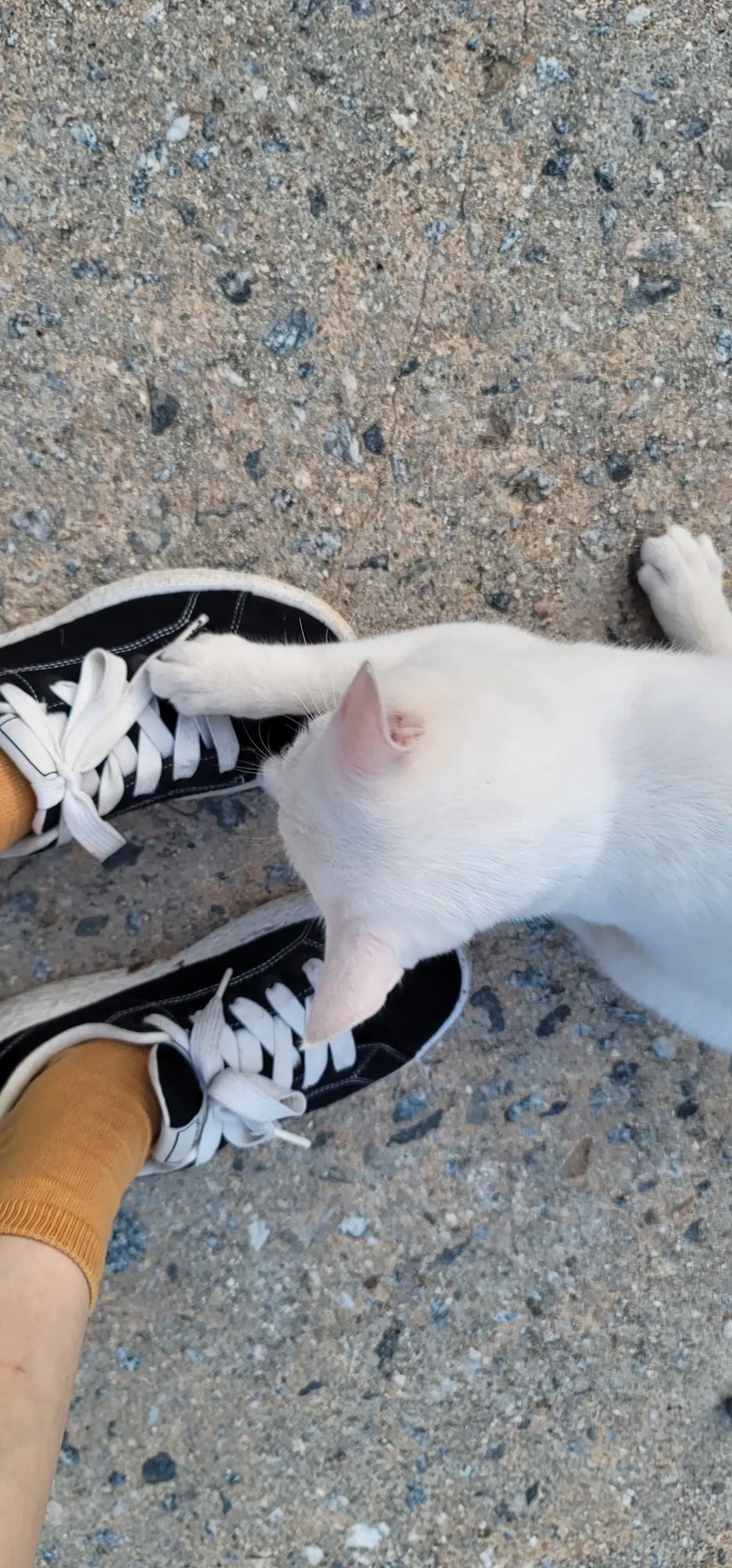 20250904%EF%BC%BF062839.jpg?type=w1