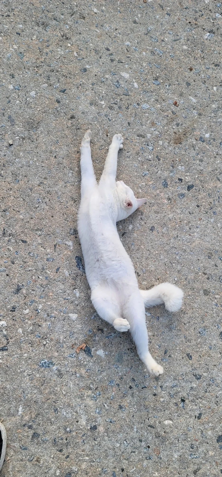 20250904%EF%BC%BF063209.jpg?type=w1