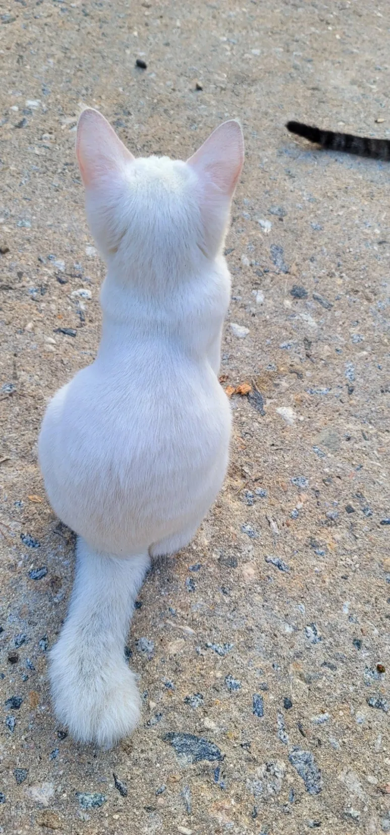 %EC%B9%B4%EC%B9%B4%EC%98%A4%EC%8A%A4%ED%86%A0%EB%A6%AC%EF%BC%BF2025%EF%BC%BF09%EF%BC%BF05_23%EF%BC%BF26%EF%BC%BF42.jpg?type=w773