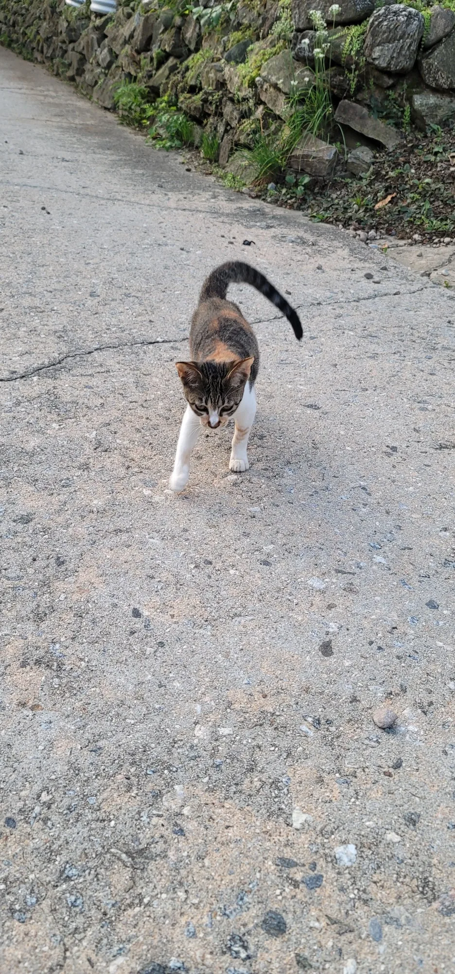 20250904%EF%BC%BF062826.jpg?type=w1