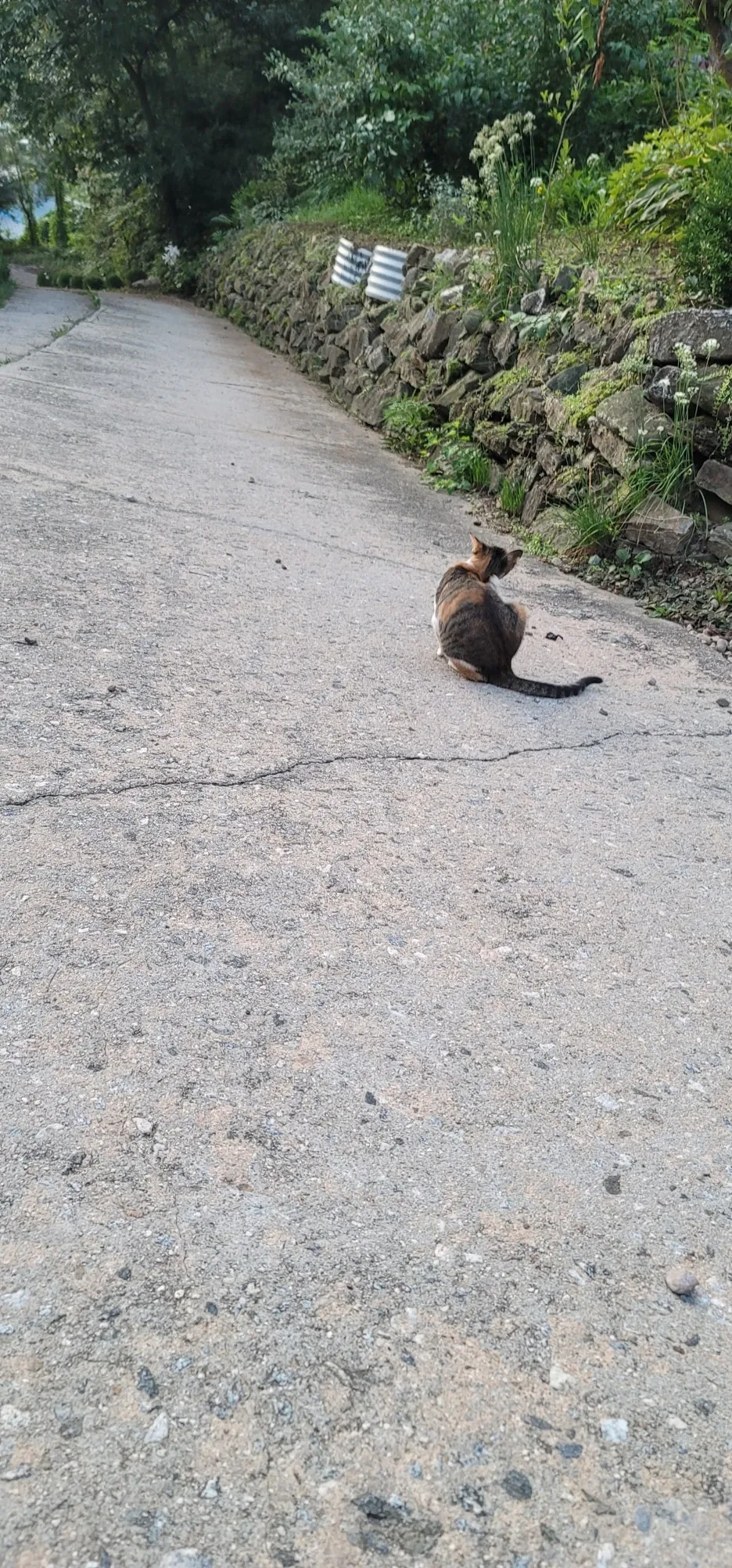 20250904%EF%BC%BF062813.jpg?type=w1