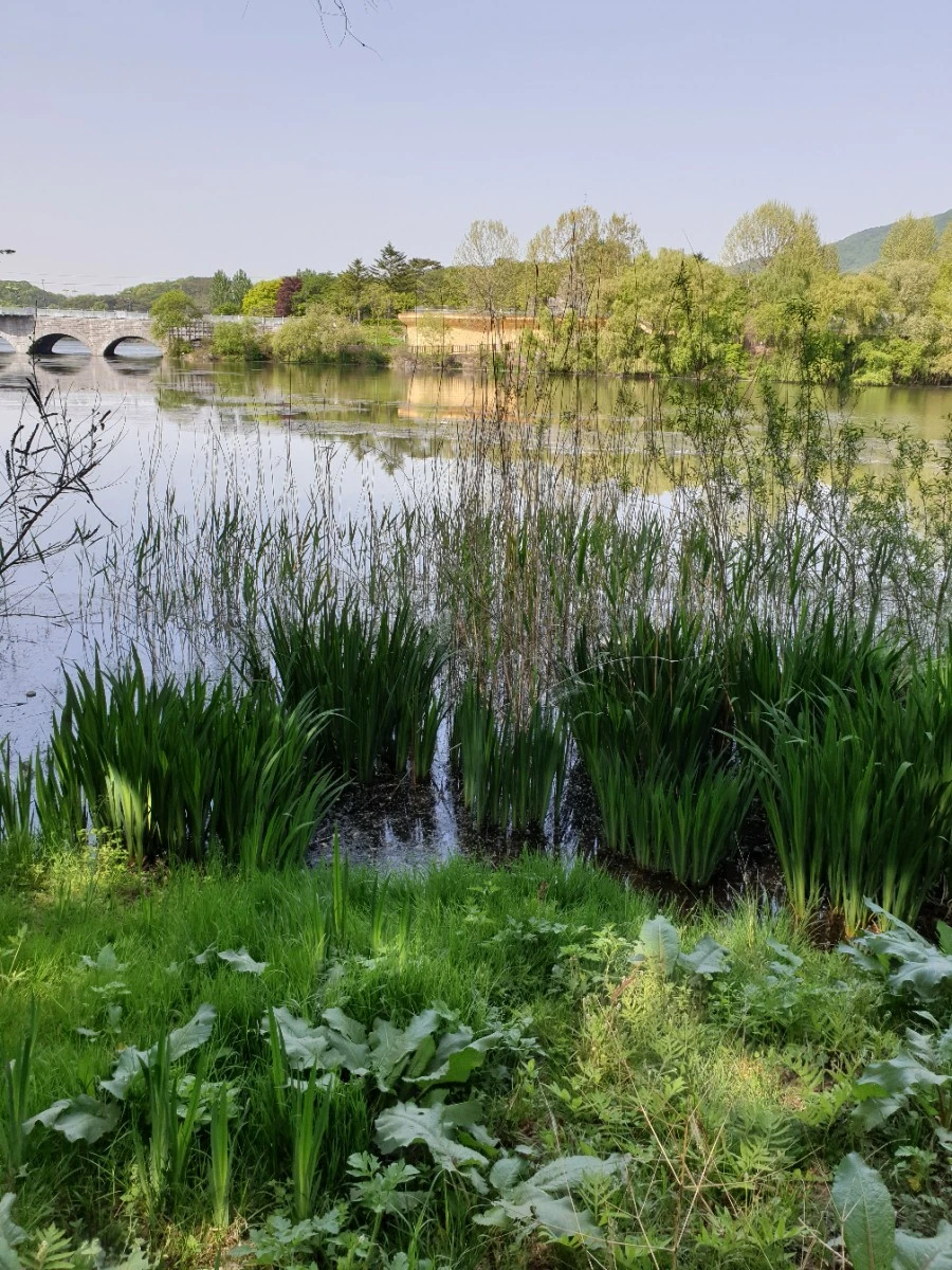 20210429%EF%BC%BF154110.jpg?type=w1