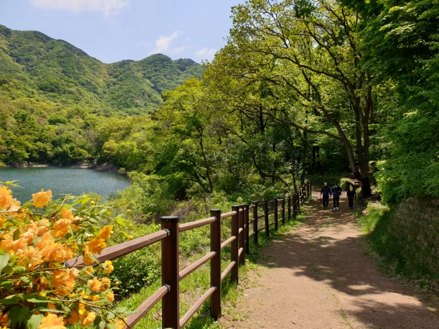 20210502%EF%BC%BF110840.jpg?type=w1