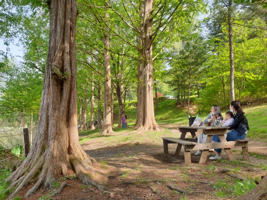 20210429%EF%BC%BF153910.jpg?type=w1