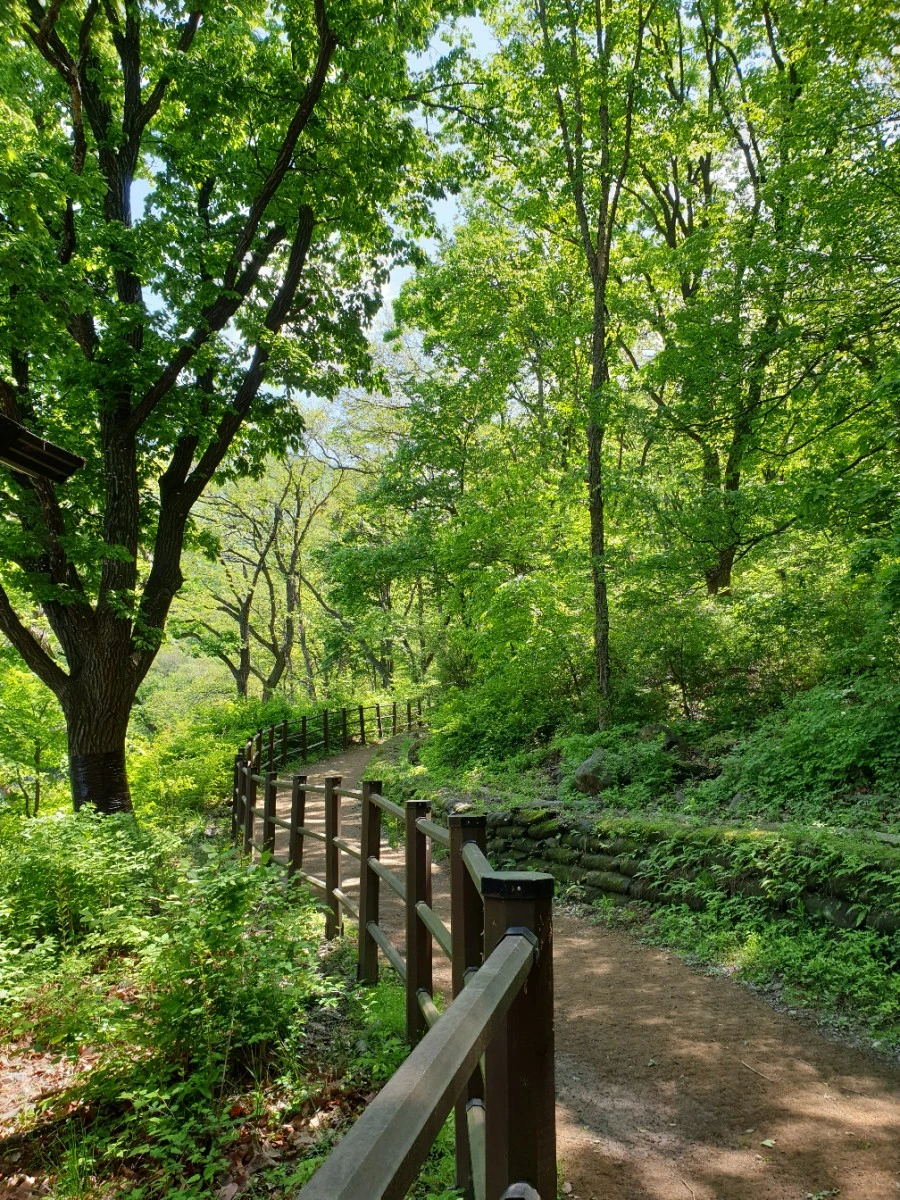 20210502%EF%BC%BF111335.jpg?type=w1