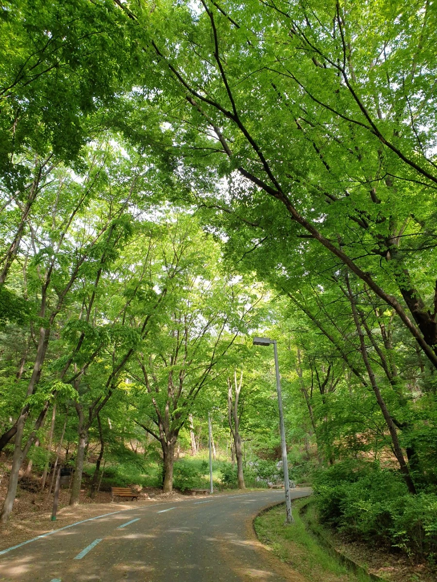 20210429%EF%BC%BF162348.jpg?type=w1