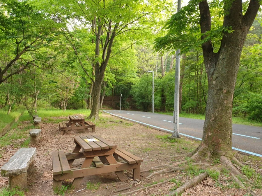 20210429%EF%BC%BF170122.jpg?type=w1