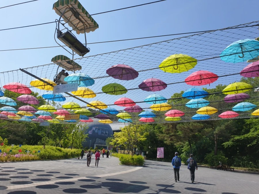 20210502%EF%BC%BF101116.jpg?type=w1