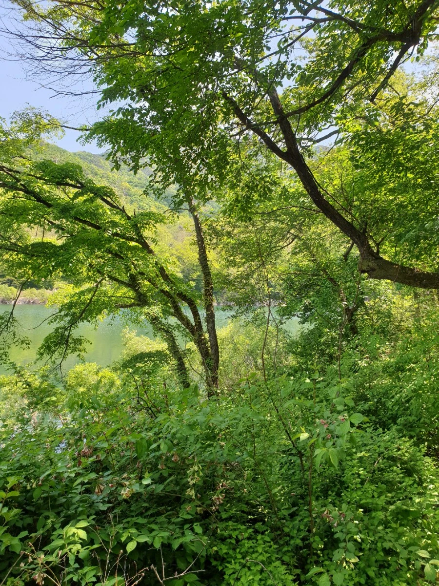 20210502%EF%BC%BF111052.jpg?type=w1