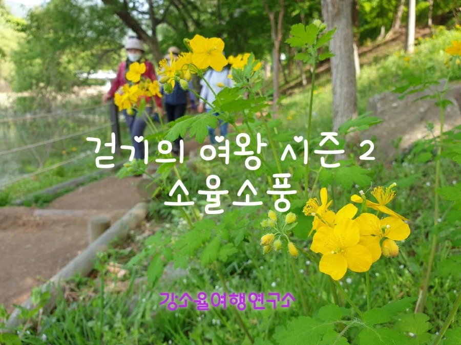 20210501103645.jpg?type=w1