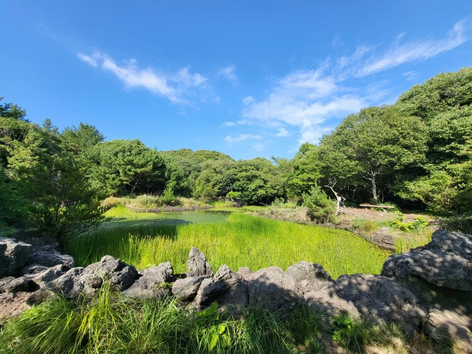 20220725_163120.jpg?type=w966