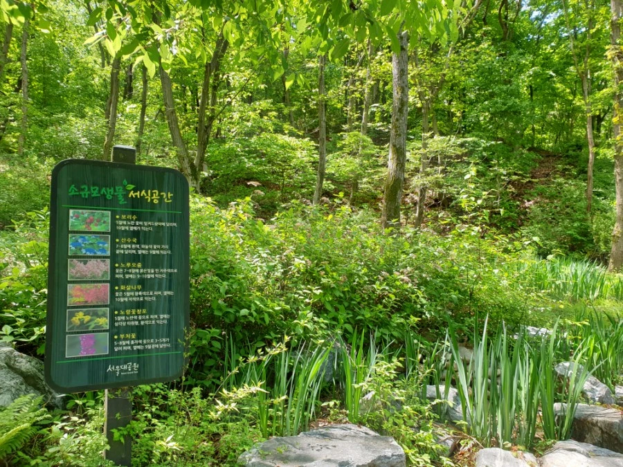 20210502%EF%BC%BF112004.jpg?type=w1