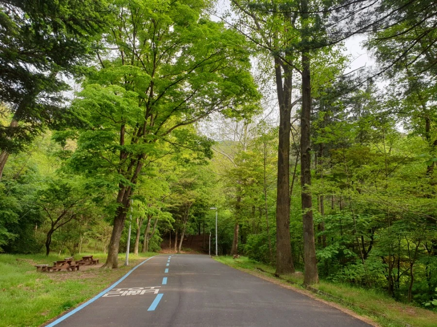 20210429%EF%BC%BF170024.jpg?type=w1