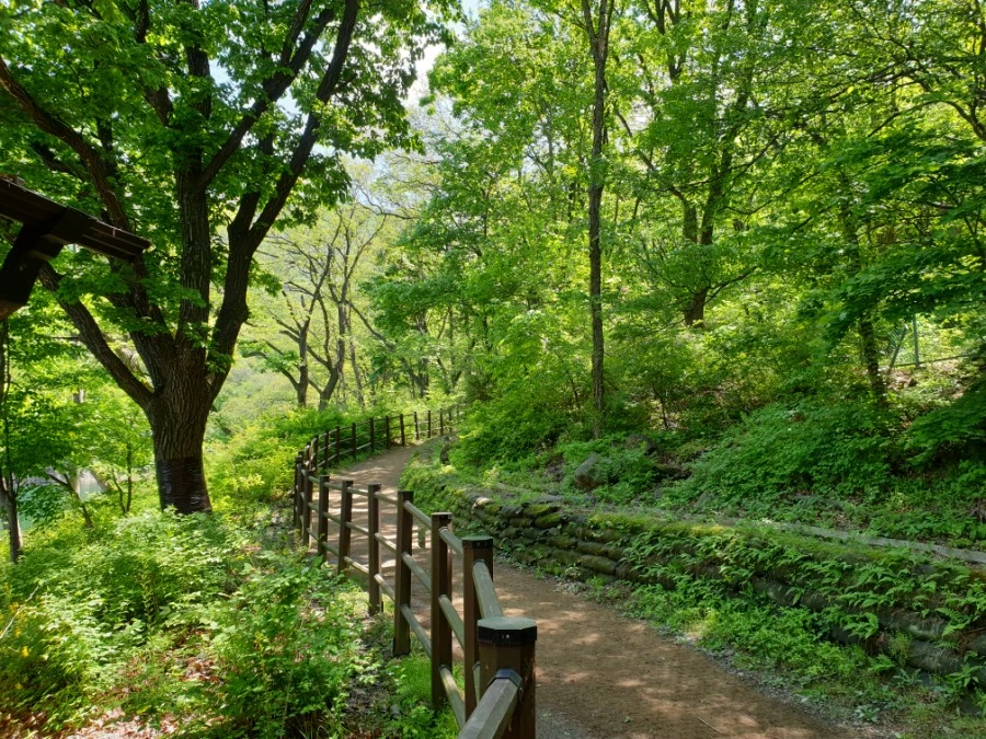 20210502%EF%BC%BF111359.jpg?type=w1