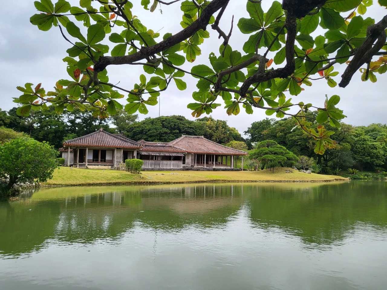 다운로드 (16).jfif