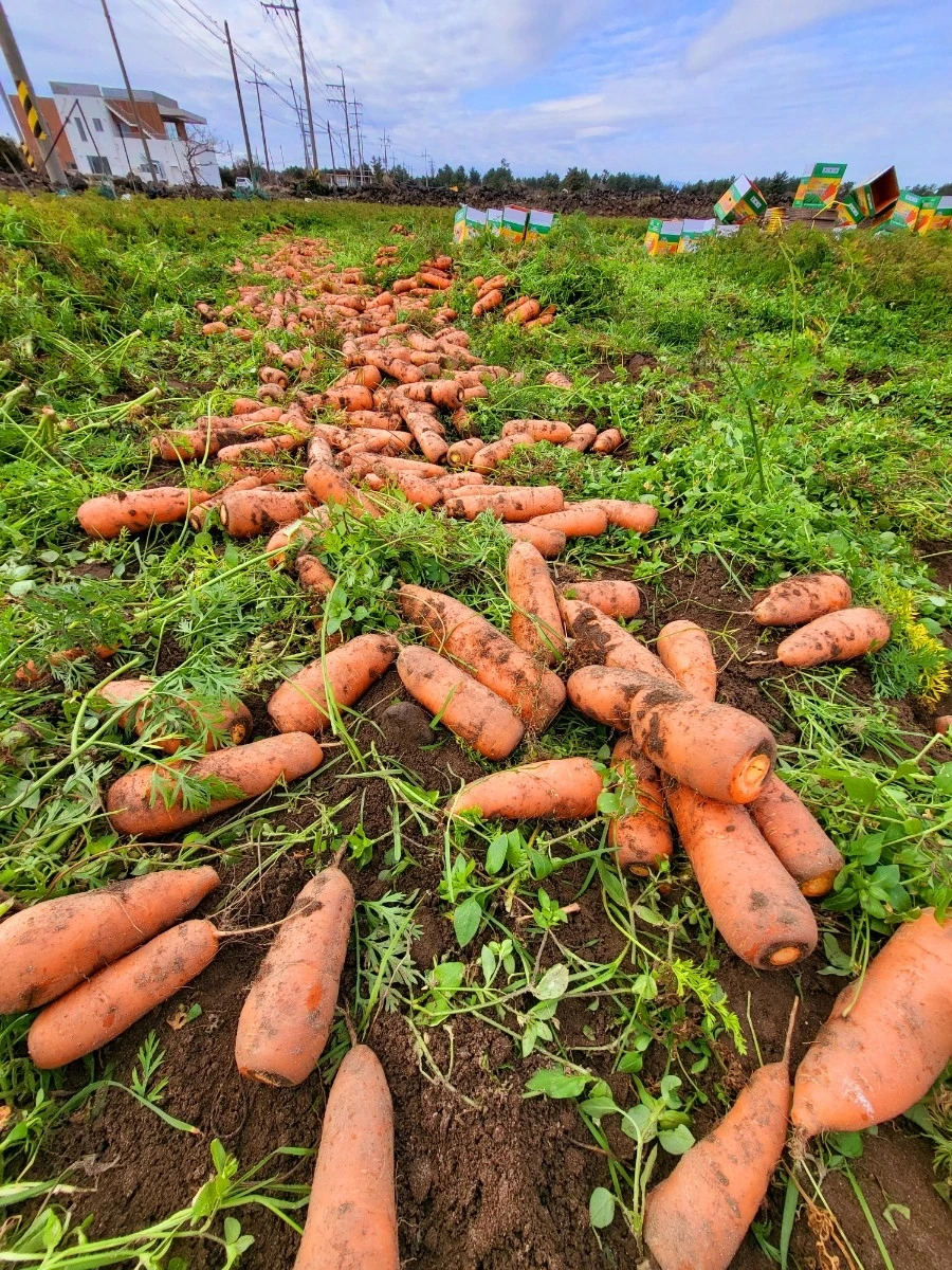 20220115%EF%BC%BF101612.jpg?type=w966