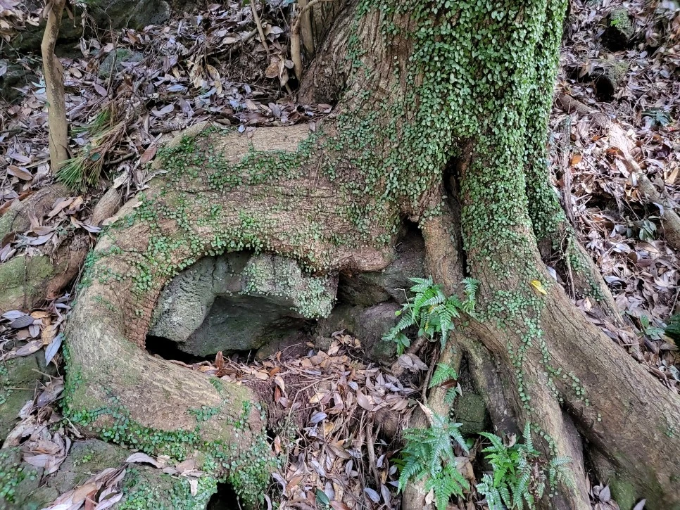 20221005_135829.jpg?type=w966