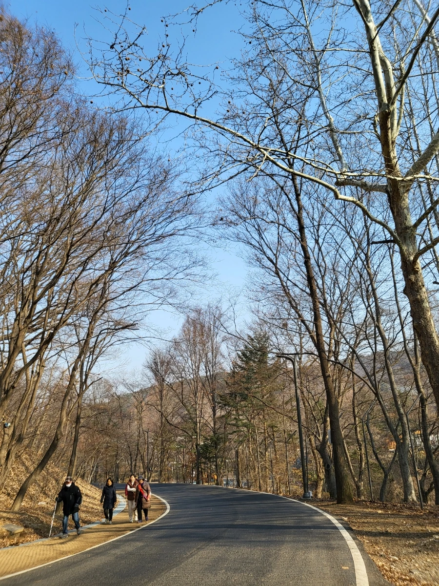 20230217%EF%BC%BF103426.jpg?type=w966