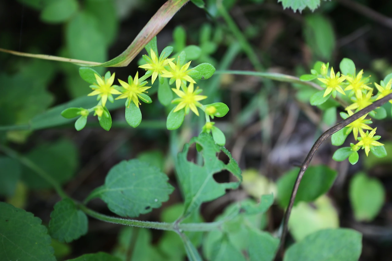 IMG_8122 - 복사본.JPG