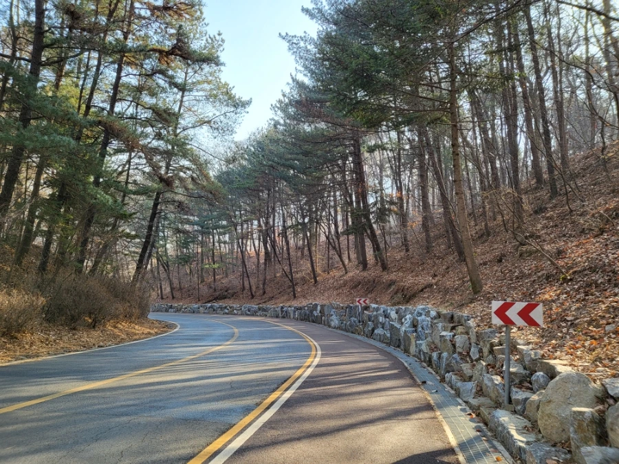 20230217%EF%BC%BF101355.jpg?type=w966