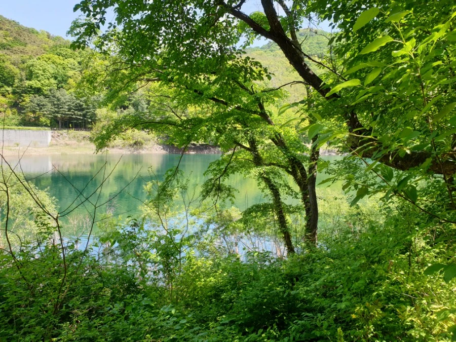 20210502%EF%BC%BF111128.jpg?type=w1