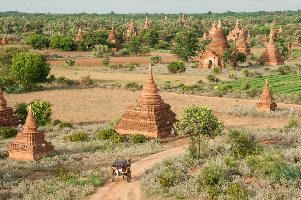 IMG_3507_Developed.jpg?type=w966