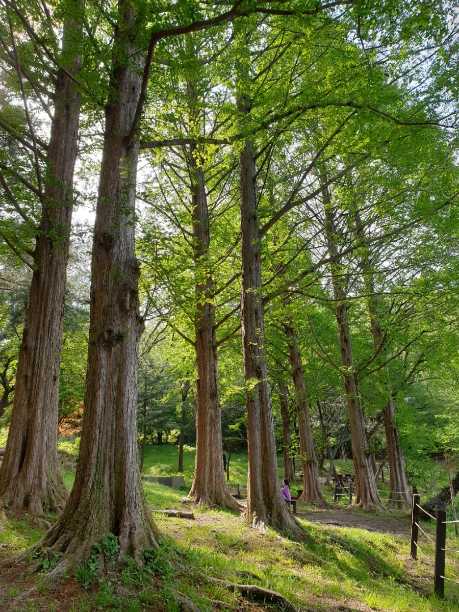 20210429%EF%BC%BF153401.jpg?type=w1