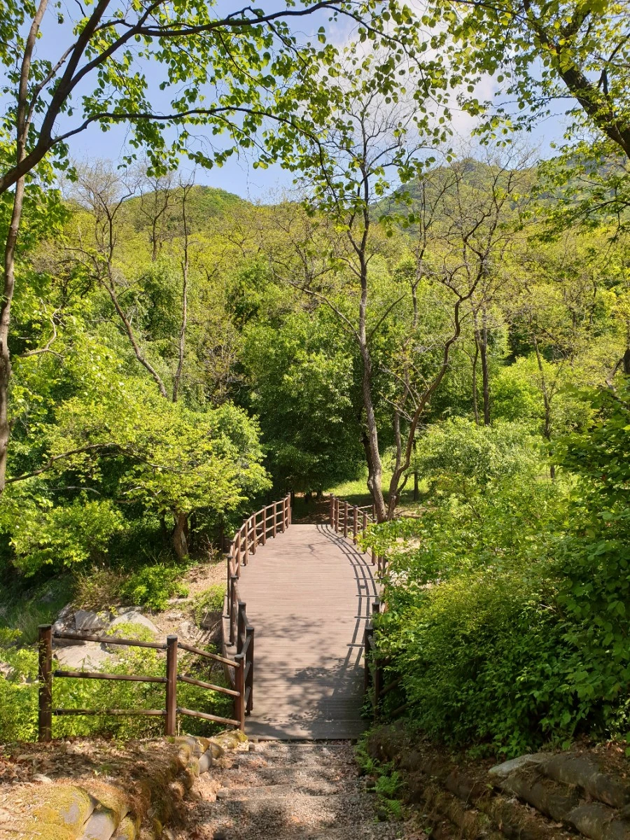 20210502%EF%BC%BF112357.jpg?type=w1