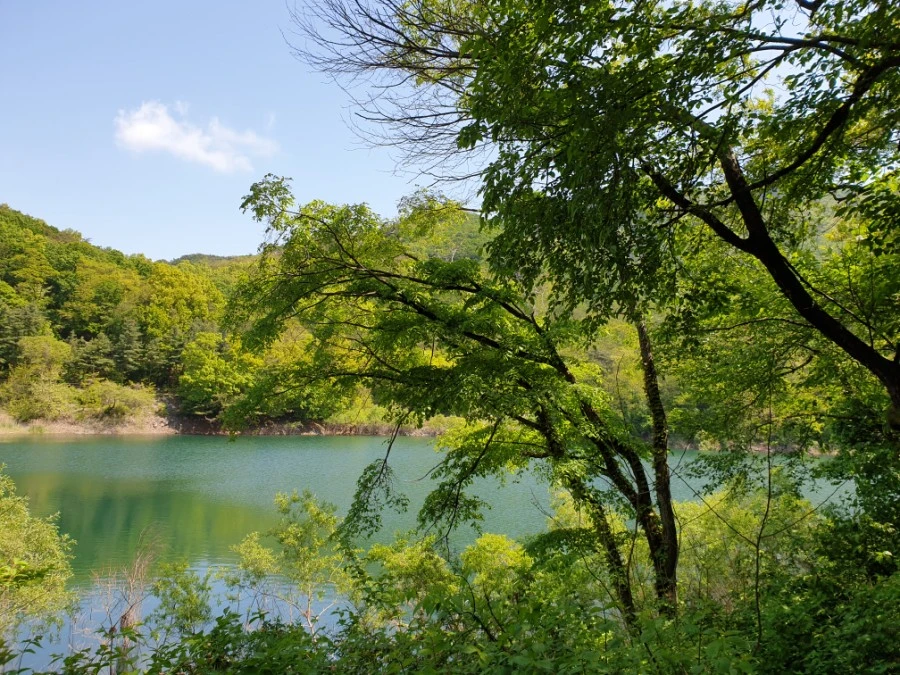 20210502%EF%BC%BF110920.jpg?type=w1