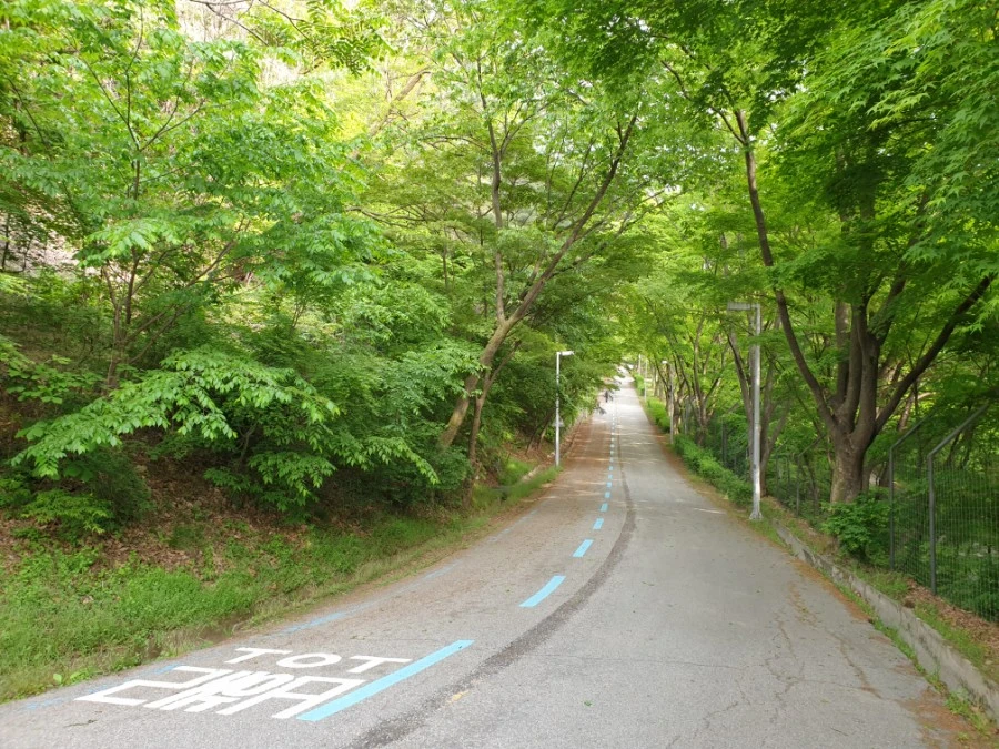 20210429%EF%BC%BF164713.jpg?type=w1