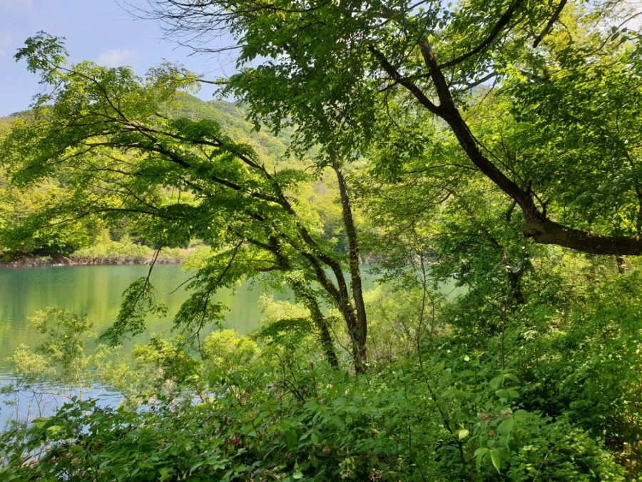 20210502%EF%BC%BF111107.jpg?type=w1