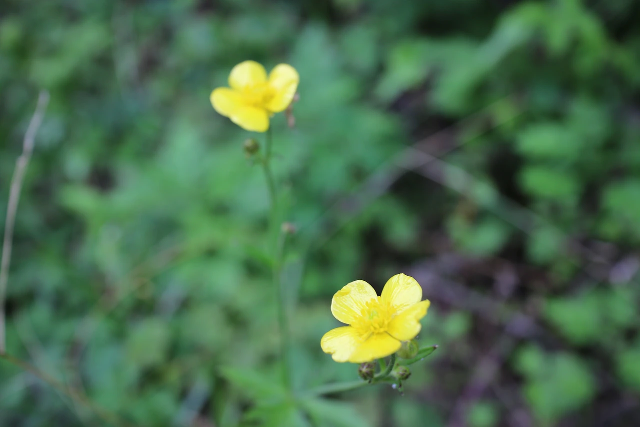 IMG_8127 - 복사본.JPG