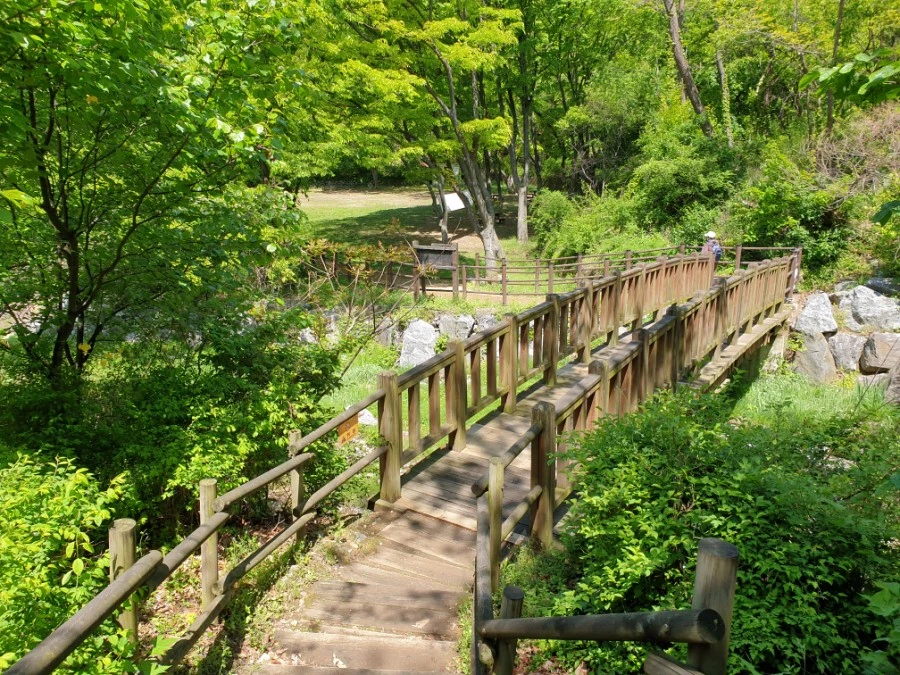 20210502%EF%BC%BF112645.jpg?type=w1