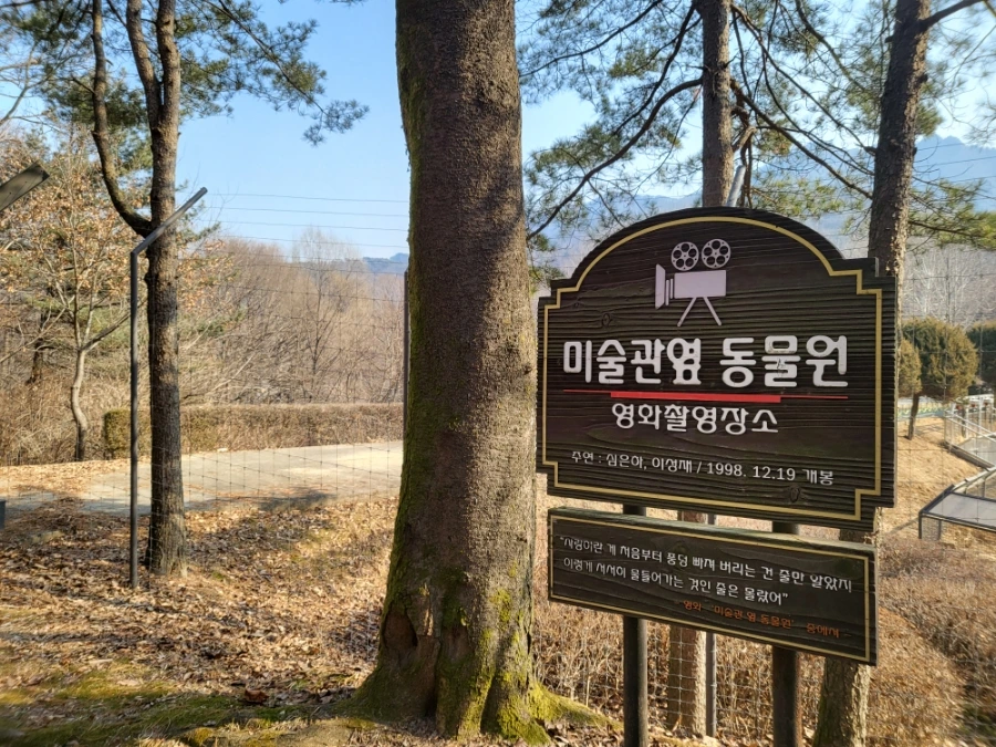 20230217%EF%BC%BF104525.jpg?type=w966